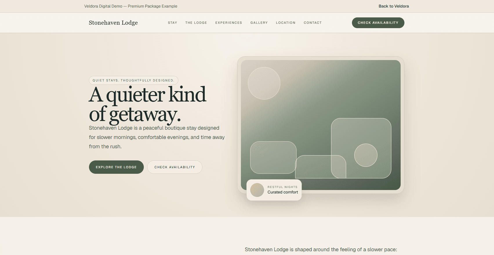 Premium website demo preview