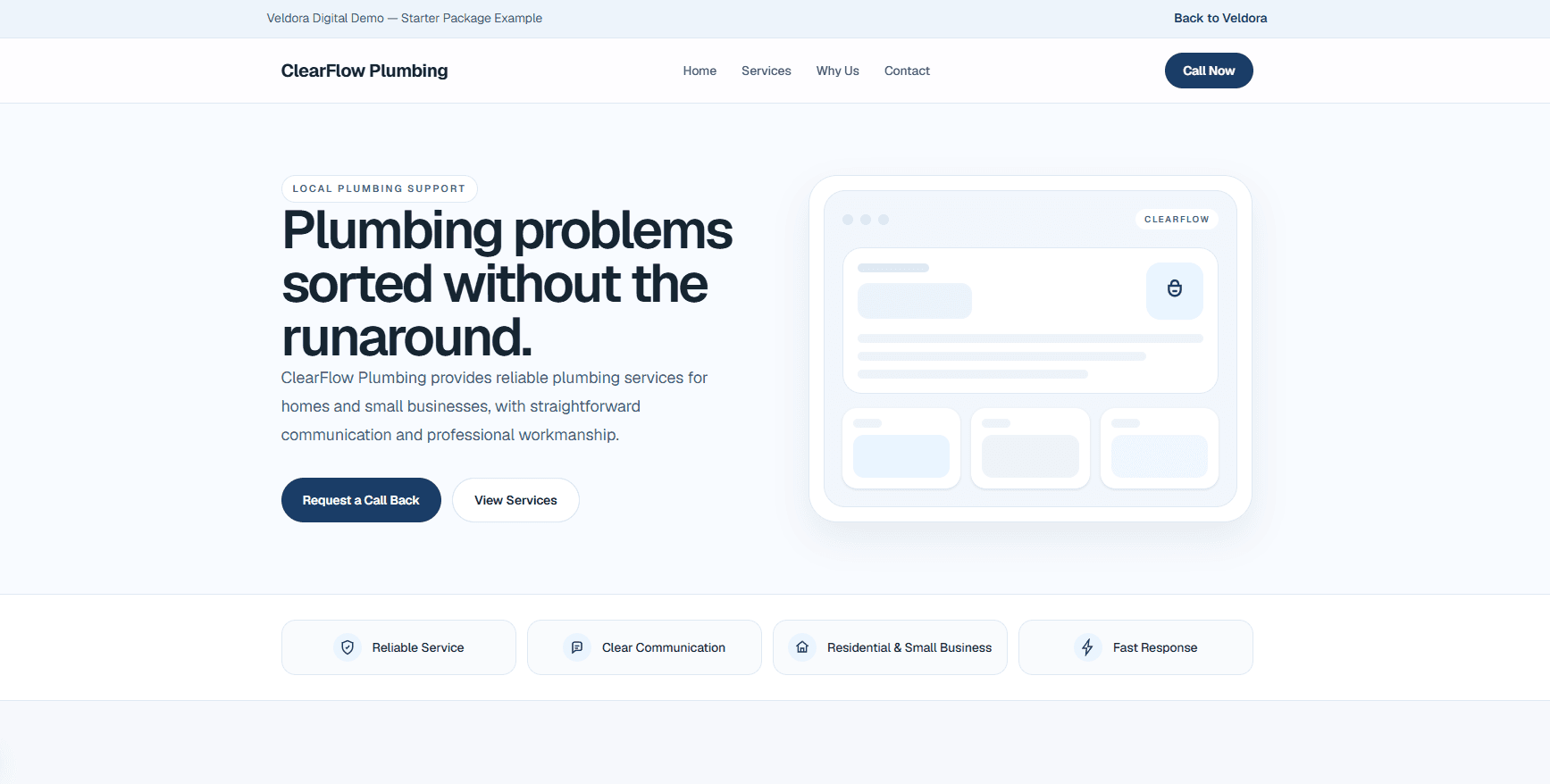 Starter website demo preview